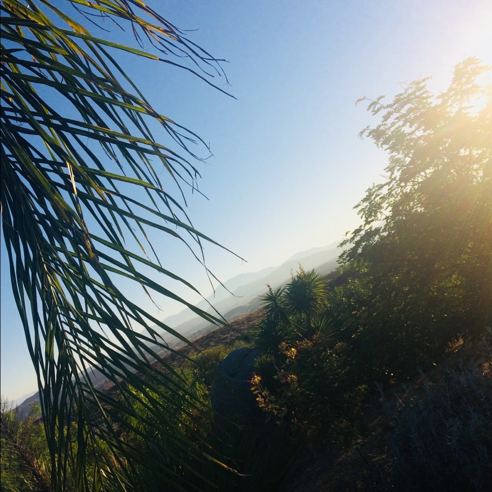 Meet your Posher, Adam